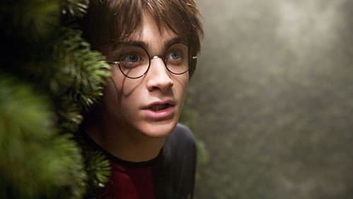 Harry Potter és a Tűz serlege – 11. kép