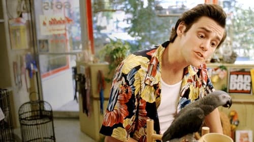 Ace Ventura - Állati nyomozó – 3. kép