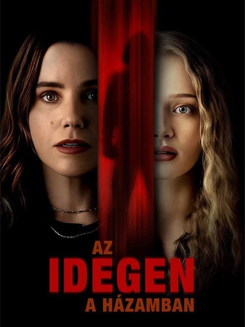 Az idegen a házamban