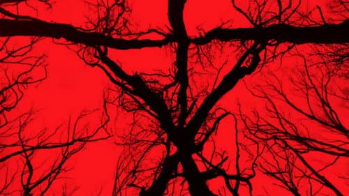 Blair Witch: Ideglelés 3. – 2. kép